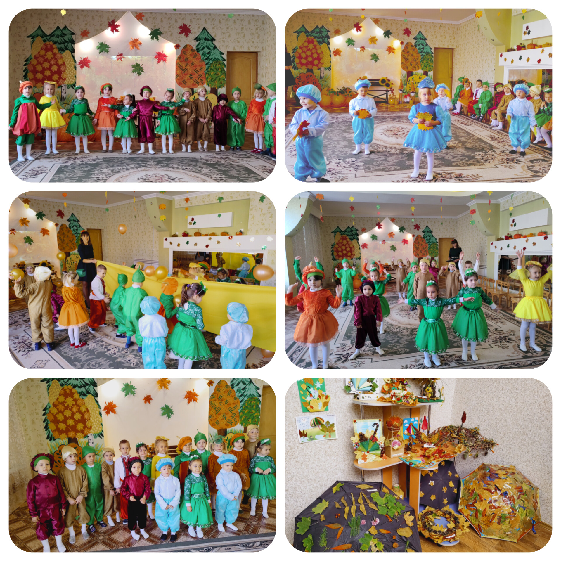 InShot_20241028_153331273